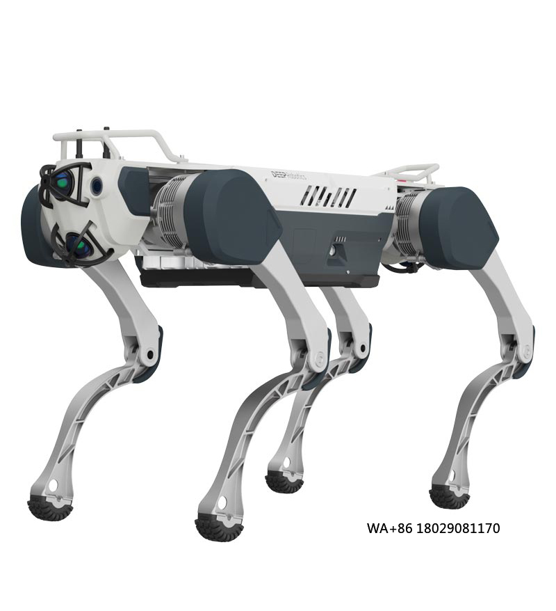 Robot Remote Control - Kunstmatige intelligentie bereiken voor educatief en
