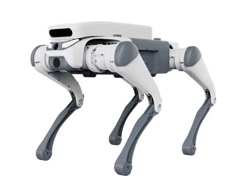 stunt afstandsbediening educat - Robot Remote Control recensie en prijs