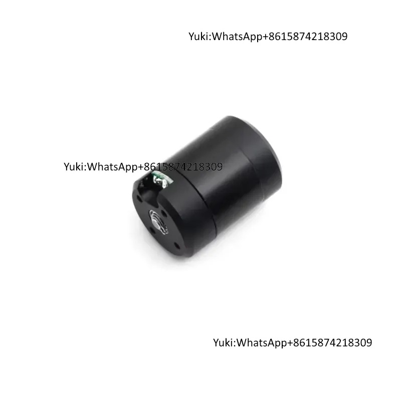 SUBFF Nieuwe 100% Waterdichte  - Dc Motor 12V recensie en prijs