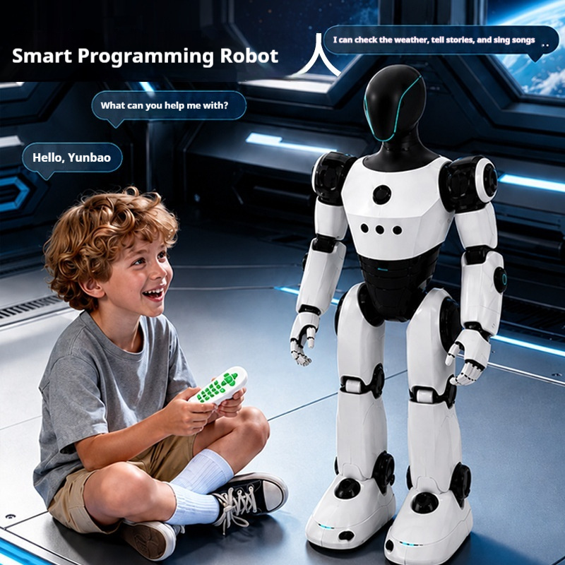AI Slimme Robot Spraakbesturin - Robot Remote Control recensie en prijs