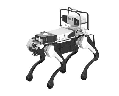 Kunstmatige intelligentie bere - Robot Remote Control recensie en prijs
